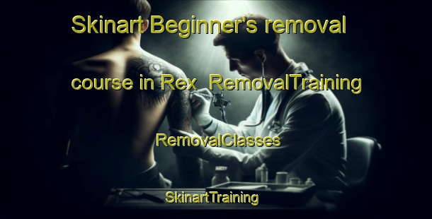 Skinart Beginner's removal course in Rex | RemovalTraining | RemovalClasses | SkinartTraining-Finland