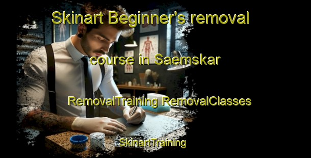 Skinart Beginner's removal course in Saemskar | #RemovalTraining #RemovalClasses #SkinartTraining-Finland