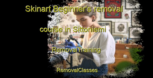 Skinart Beginner's removal course in Sittoniemi | RemovalTraining | RemovalClasses | SkinartTraining-Finland