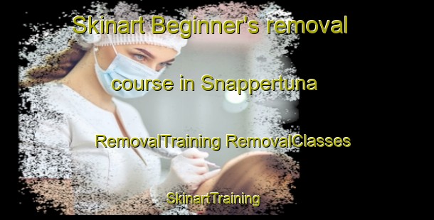 Skinart Beginner's removal course in Snappertuna | #RemovalTraining #RemovalClasses #SkinartTraining-Finland