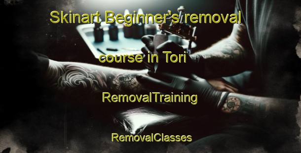 Skinart Beginner's removal course in Tori | RemovalTraining | RemovalClasses | SkinartTraining-Finland