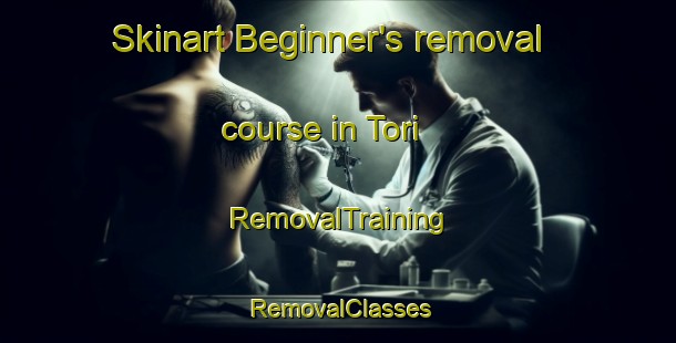 Skinart Beginner's removal course in Tori | RemovalTraining | RemovalClasses | SkinartTraining-Finland