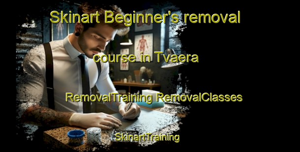 Skinart Beginner's removal course in Tvaera | #RemovalTraining #RemovalClasses #SkinartTraining-Finland