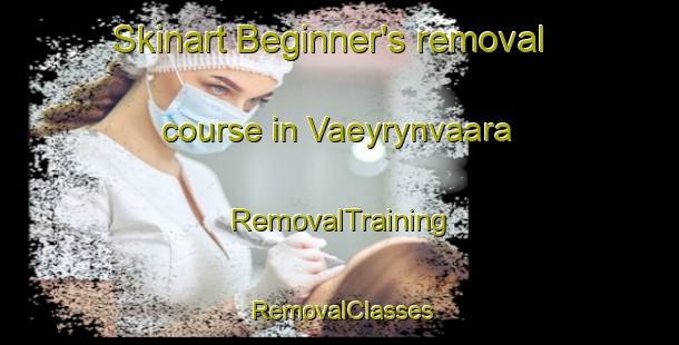 Skinart Beginner's removal course in Vaeyrynvaara | RemovalTraining | RemovalClasses | SkinartTraining-Finland