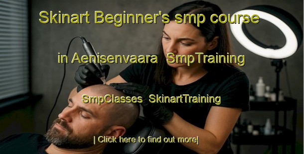 Skinart Beginner's smp course in Aenisenvaara | SmpTraining | SmpClasses | SkinartTraining-Finland
