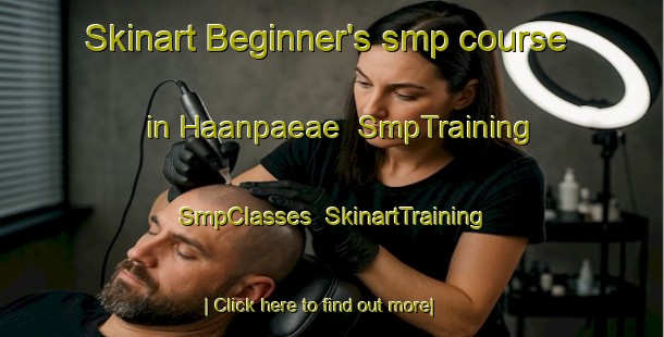Skinart Beginner's smp course in Haanpaeae | SmpTraining | SmpClasses | SkinartTraining-Finland