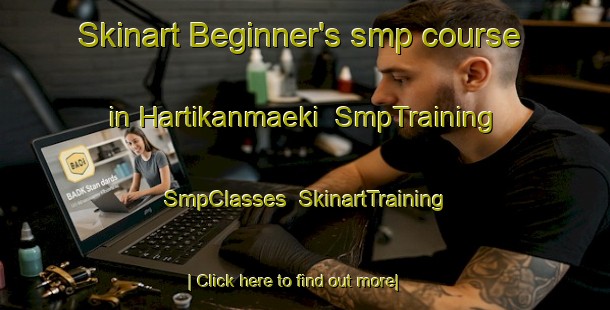 Skinart Beginner's smp course in Hartikanmaeki | SmpTraining | SmpClasses | SkinartTraining-Finland