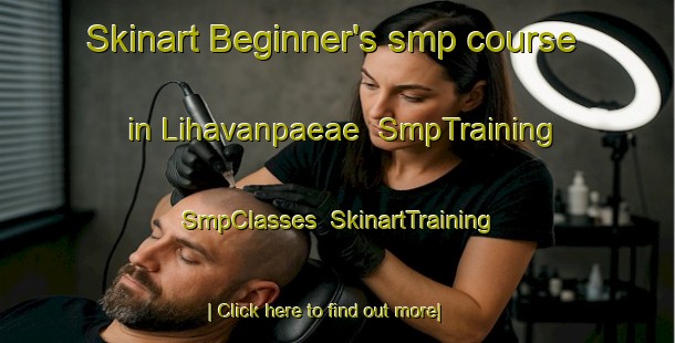 Skinart Beginner's smp course in Lihavanpaeae | SmpTraining | SmpClasses | SkinartTraining-Finland