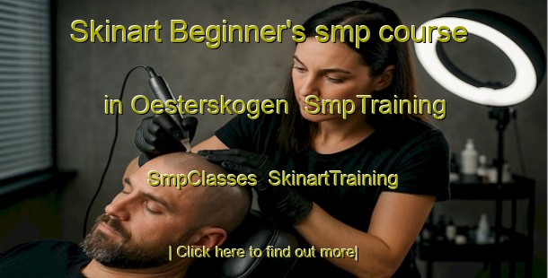 Skinart Beginner's smp course in Oesterskogen | SmpTraining | SmpClasses | SkinartTraining-Finland