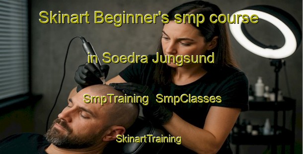 Skinart Beginner's smp course in Soedra Jungsund | SmpTraining | SmpClasses | SkinartTraining-Finland