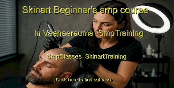 Skinart Beginner's smp course in Vaehaerauma | SmpTraining | SmpClasses | SkinartTraining-Finland