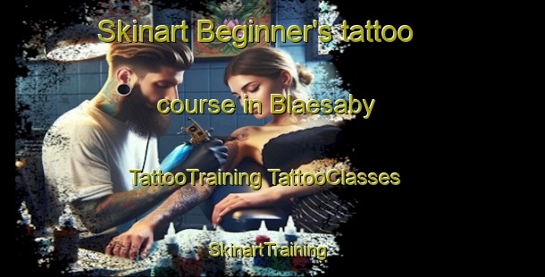 Skinart Beginner's tattoo course in Blaesaby | #TattooTraining #TattooClasses #SkinartTraining-Finland