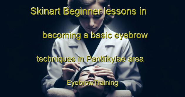 Skinart Beginner lessons in becoming a basic eyebrow techniques in Panttikylae area | EyebrowTraining | EyebrowClasses | SkinartTraining-Finland