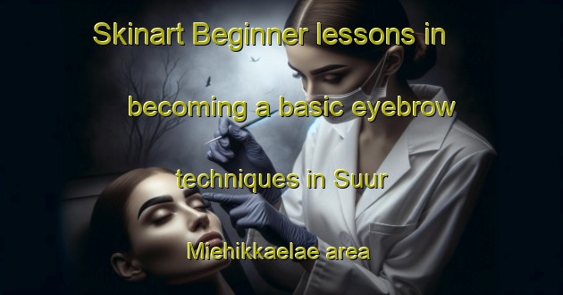 Skinart Beginner lessons in becoming a basic eyebrow techniques in Suur Miehikkaelae area | EyebrowTraining | EyebrowClasses | SkinartTraining-Finland
