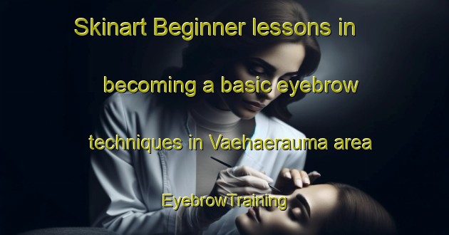 Skinart Beginner lessons in becoming a basic eyebrow techniques in Vaehaerauma area | EyebrowTraining | EyebrowClasses | SkinartTraining-Finland