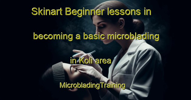 Skinart Beginner lessons in becoming a basic microblading in Koli area | MicrobladingTraining | MicrobladingClasses | SkinartTraining-Finland