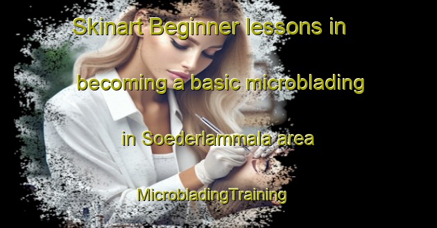 Skinart Beginner lessons in becoming a basic microblading in Soederlammala area | MicrobladingTraining | MicrobladingClasses | SkinartTraining-Finland