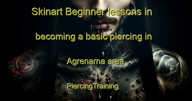 Skinart Beginner lessons in becoming a basic piercing in Agrenarna area | PiercingTraining | PiercingClasses | SkinartTraining-Finland