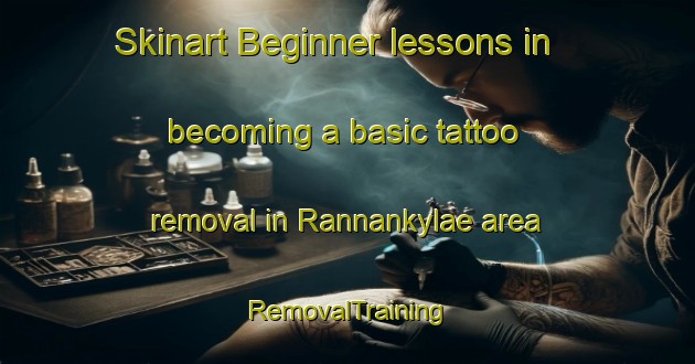 Skinart Beginner lessons in becoming a basic tattoo removal in Rannankylae area | RemovalTraining | RemovalClasses | SkinartTraining-Finland