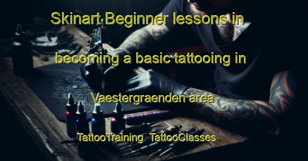 Skinart Beginner lessons in becoming a basic tattooing in Vaestergraenden area | TattooTraining | TattooClasses | SkinartTraining-Finland