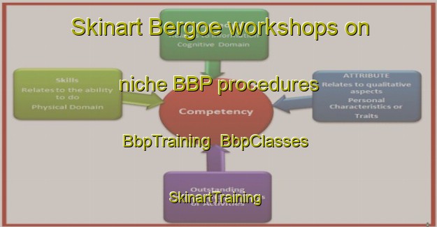 Skinart Bergoe workshops on niche BBP procedures | BbpTraining | BbpClasses | SkinartTraining-Finland