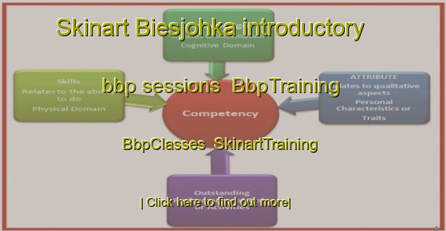 Skinart Biesjohka introductory bbp sessions | BbpTraining | BbpClasses | SkinartTraining-Finland