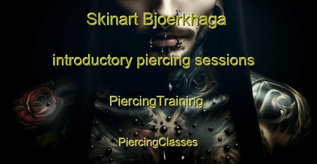 Skinart Bjoerkhaga introductory piercing sessions | #PiercingTraining #PiercingClasses #SkinartTraining-Finland