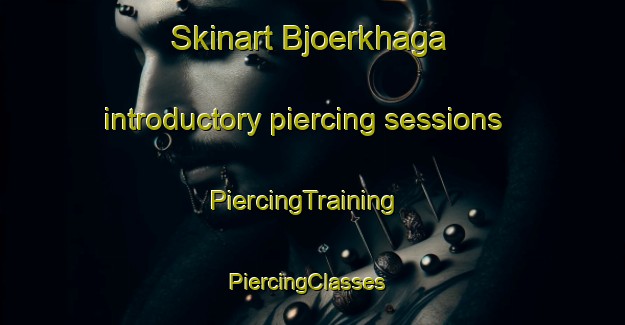 Skinart Bjoerkhaga introductory piercing sessions | PiercingTraining | PiercingClasses | SkinartTraining-Finland