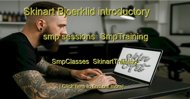 Skinart Bjoerklid introductory smp sessions | SmpTraining | SmpClasses | SkinartTraining-Finland