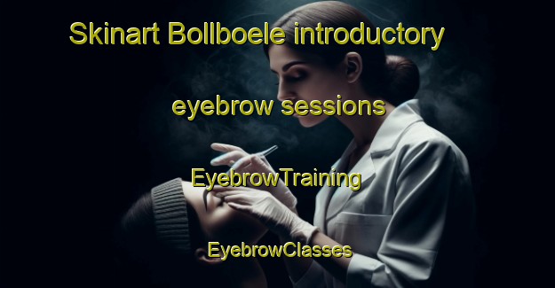 Skinart Bollboele introductory eyebrow sessions | EyebrowTraining | EyebrowClasses | SkinartTraining-Finland