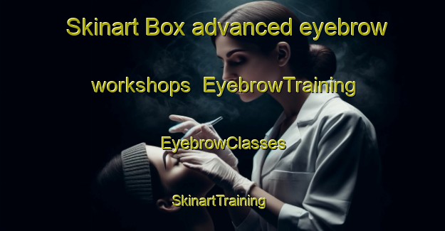 Skinart Box advanced eyebrow workshops | EyebrowTraining | EyebrowClasses | SkinartTraining-Finland