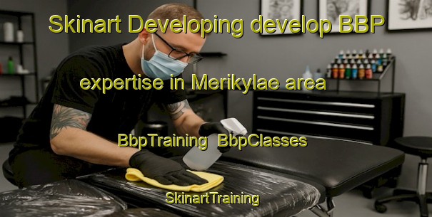Skinart Developing develop BBP expertise in Merikylae area | BbpTraining | BbpClasses | SkinartTraining-Finland
