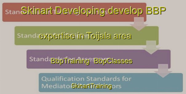 Skinart Developing develop BBP expertise in Toijala area | BbpTraining | BbpClasses | SkinartTraining-Finland