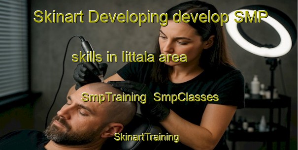 Skinart Developing develop SMP skills in Iittala area | SmpTraining | SmpClasses | SkinartTraining-Finland