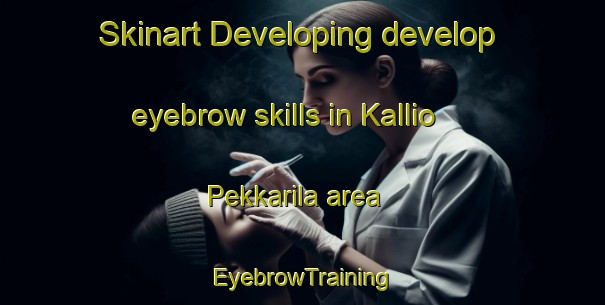 Skinart Developing develop eyebrow skills in Kallio Pekkarila area | EyebrowTraining | EyebrowClasses | SkinartTraining-Finland
