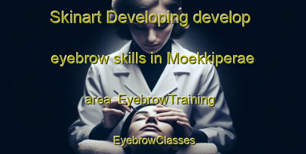 Skinart Developing develop eyebrow skills in Moekkiperae area | EyebrowTraining | EyebrowClasses | SkinartTraining-Finland