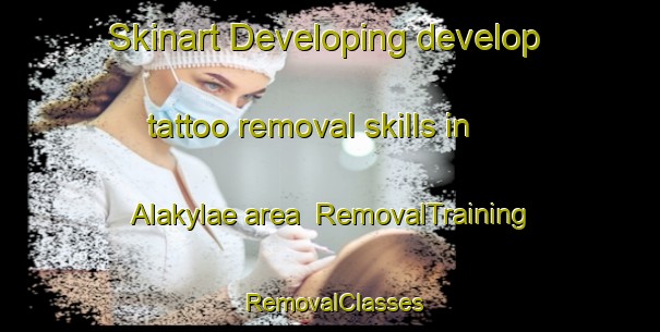 Skinart Developing develop tattoo removal skills in Alakylae area | RemovalTraining | RemovalClasses | SkinartTraining-Finland
