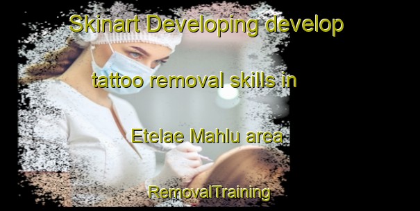 Skinart Developing develop tattoo removal skills in Etelae Mahlu area | RemovalTraining | RemovalClasses | SkinartTraining-Finland