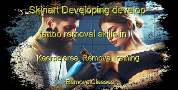 Skinart Developing develop tattoo removal skills in Kaerpe area | RemovalTraining | RemovalClasses | SkinartTraining-Finland