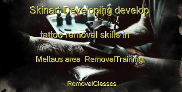 Skinart Developing develop tattoo removal skills in Meltaus area | RemovalTraining | RemovalClasses | SkinartTraining-Finland