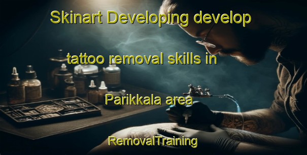 Skinart Developing develop tattoo removal skills in Parikkala area | RemovalTraining | RemovalClasses | SkinartTraining-Finland