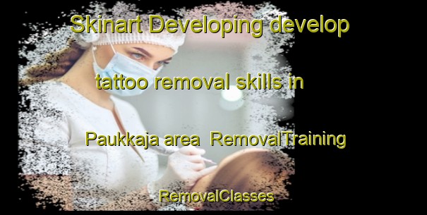 Skinart Developing develop tattoo removal skills in Paukkaja area | RemovalTraining | RemovalClasses | SkinartTraining-Finland