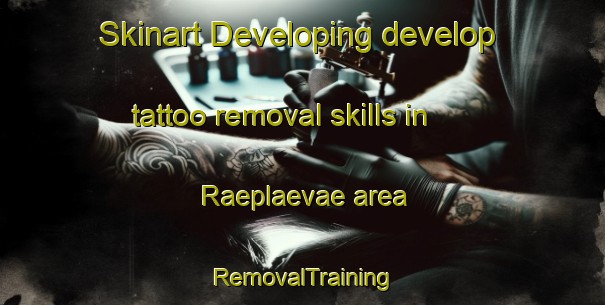 Skinart Developing develop tattoo removal skills in Raeplaevae area | RemovalTraining | RemovalClasses | SkinartTraining-Finland