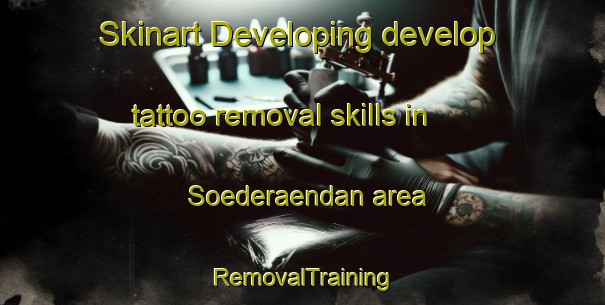 Skinart Developing develop tattoo removal skills in Soederaendan area | RemovalTraining | RemovalClasses | SkinartTraining-Finland