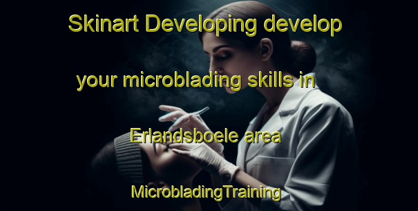 Skinart Developing develop your microblading skills in Erlandsboele area | #MicrobladingTraining #MicrobladingClasses #SkinartTraining-Finland