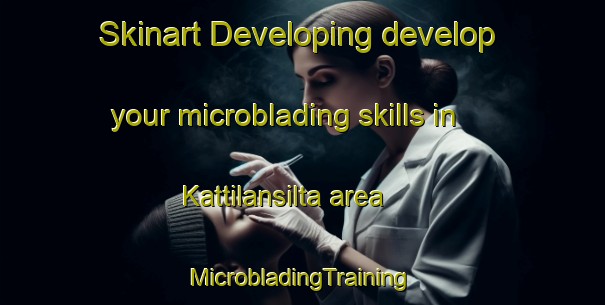 Skinart Developing develop your microblading skills in Kattilansilta area | #MicrobladingTraining #MicrobladingClasses #SkinartTraining-Finland