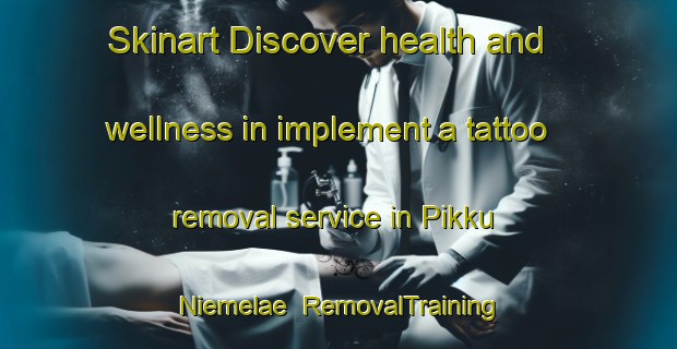 Skinart Discover health and wellness in implement a tattoo removal service in Pikku Niemelae | RemovalTraining | RemovalClasses | SkinartTraining-Finland