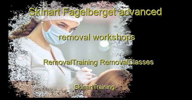 Skinart Fagelberget advanced removal workshops | #RemovalTraining #RemovalClasses #SkinartTraining-Finland