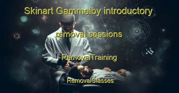 Skinart Gammelby introductory removal sessions | RemovalTraining | RemovalClasses | SkinartTraining-Finland