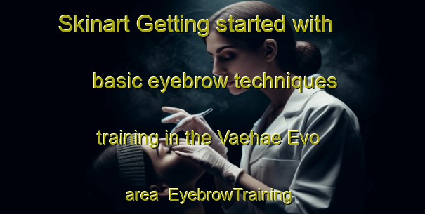 Skinart Getting started with basic eyebrow techniques training in the Vaehae Evo area | EyebrowTraining | EyebrowClasses | SkinartTraining-Finland